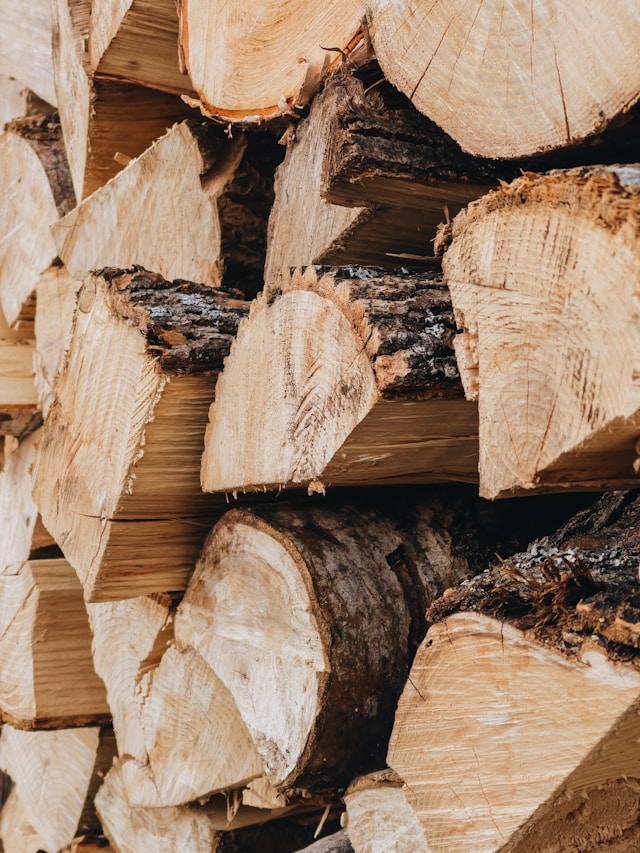 Bois sec empilé sous un abri ventilé